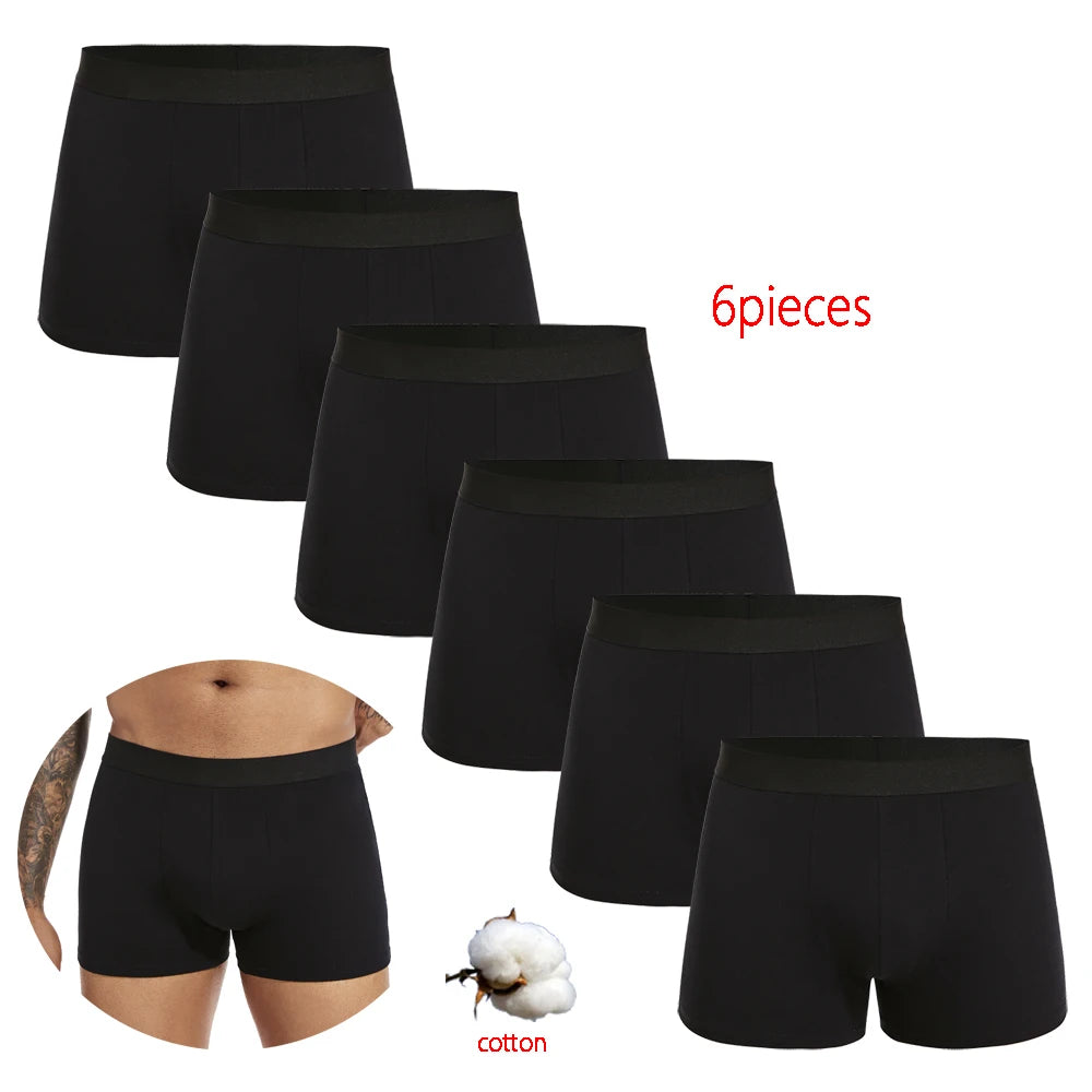 S68e9f2ed85d841f78125749ee66befc2O